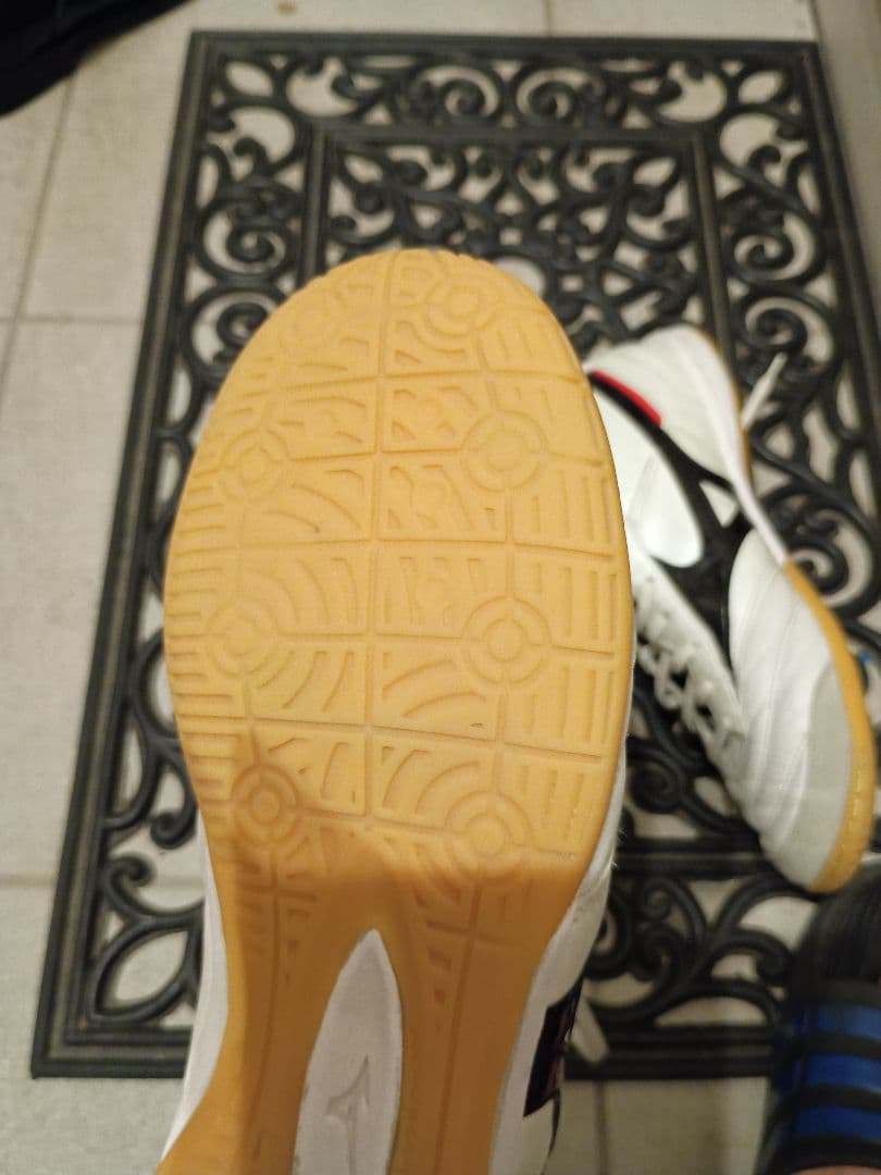 専用！25cm ミズノ モレリア イン MORELIA IN FUTSAL 室内