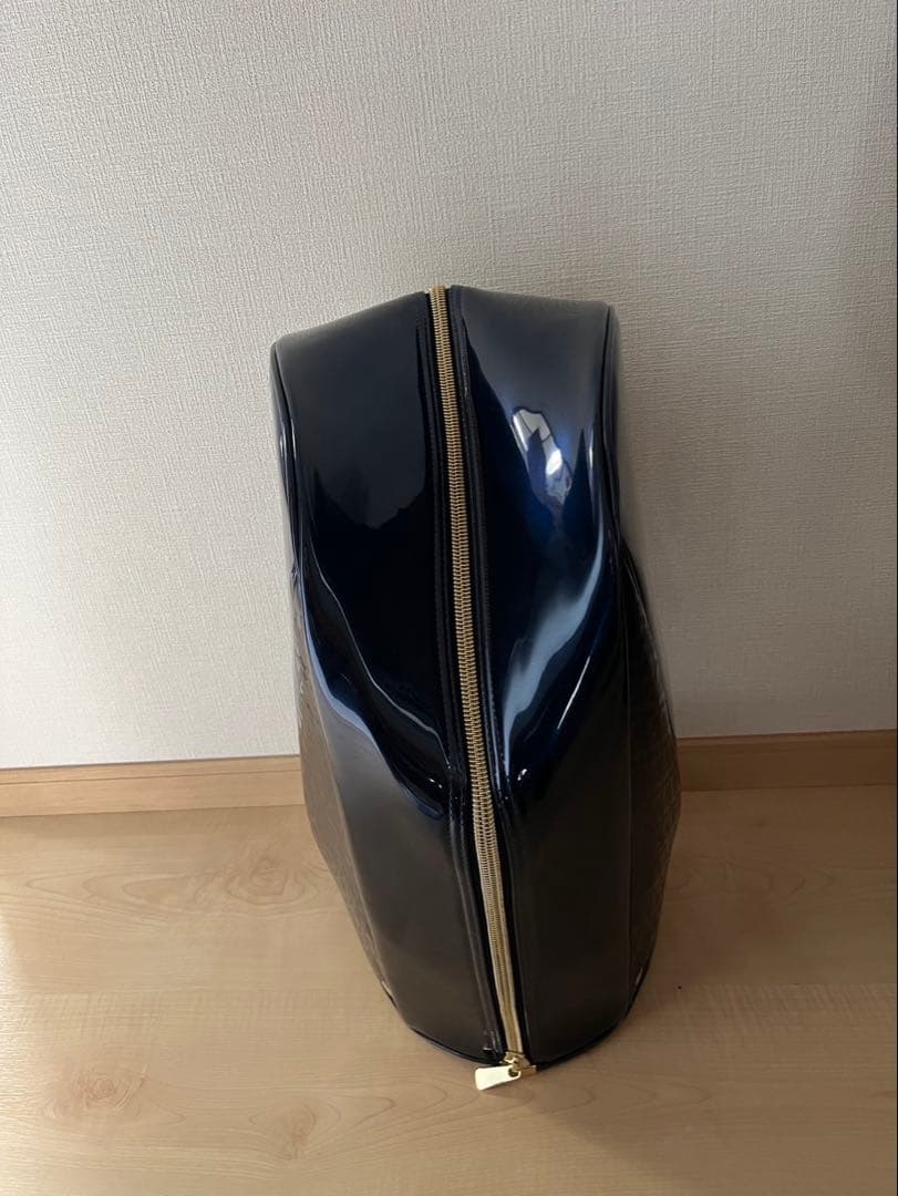 セントアンドリュース　キャディバッグ
