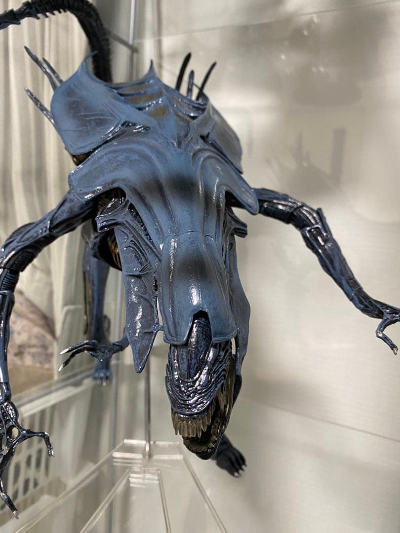 NECA ネカ クイーン エイリアン AVP プレデター
