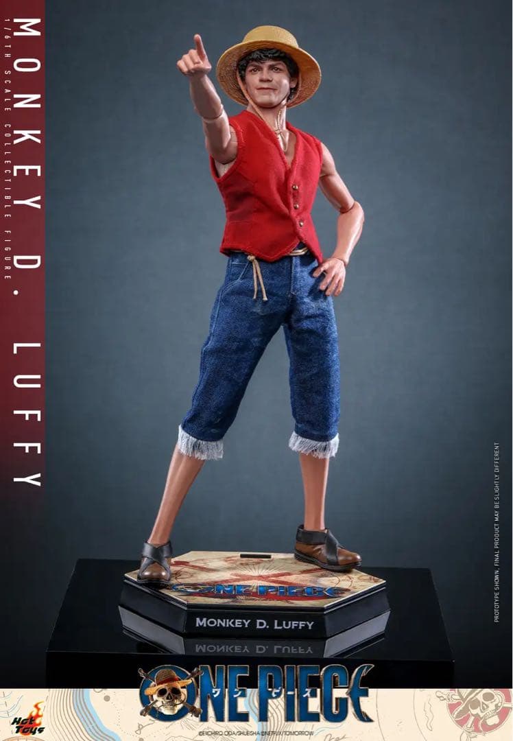 【新品未使用】ホットトイズ 1/6 モンキーDルフィ TMS109 ワンピース