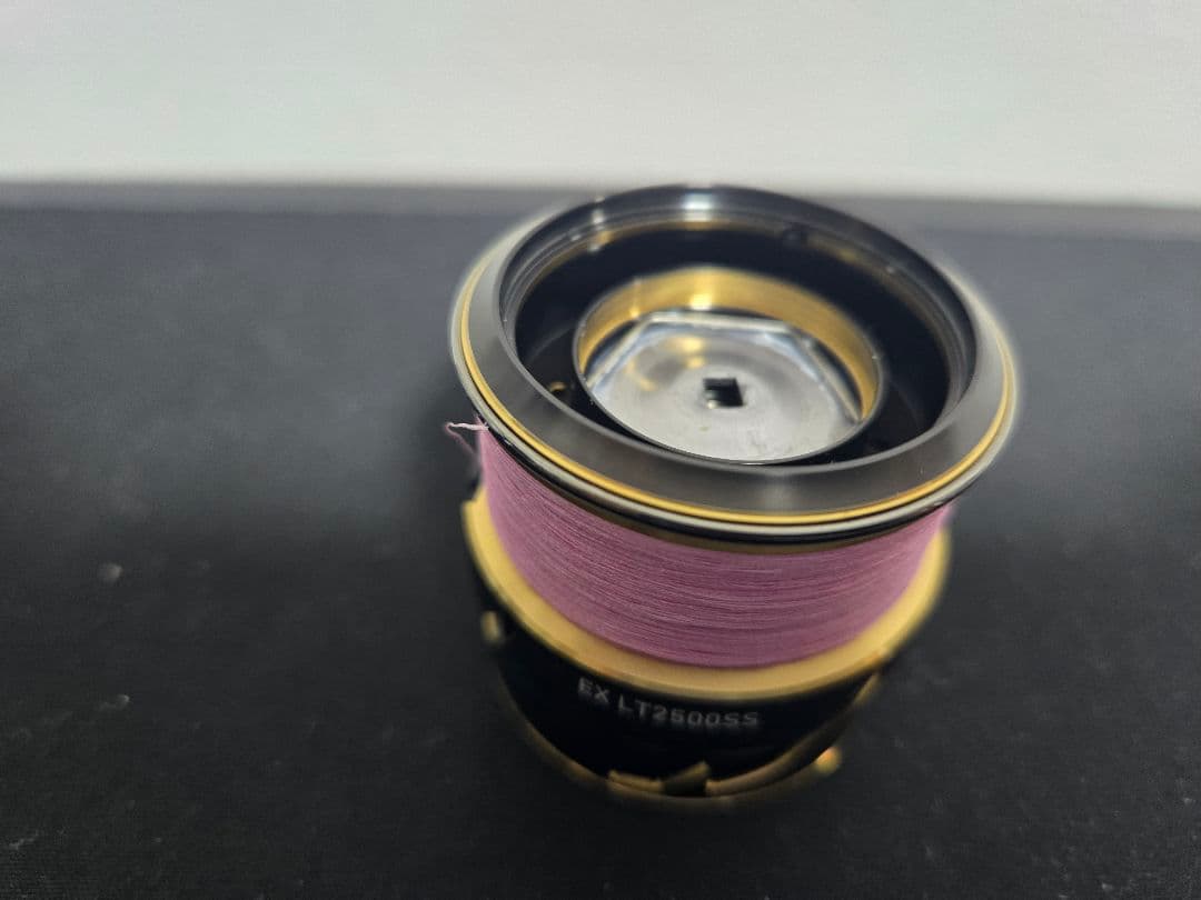 ダイワ SLPワークス SLPW EX LTスプール2 LT2500SS
