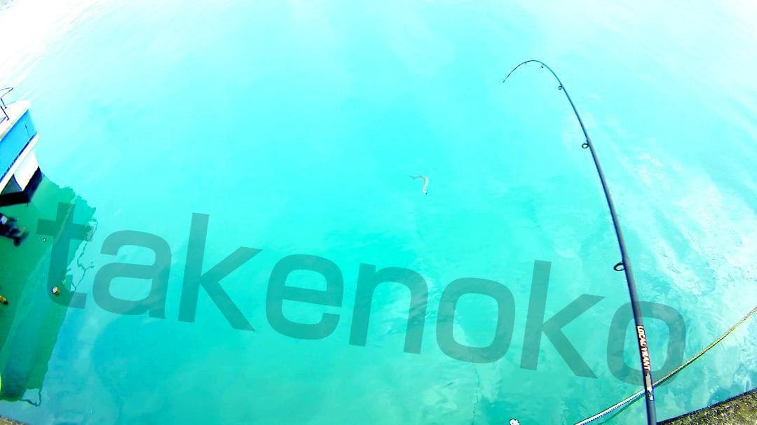 パックロッド　8.8フィート／2.7m　機内持込み可　エギング、ショアジギ等
