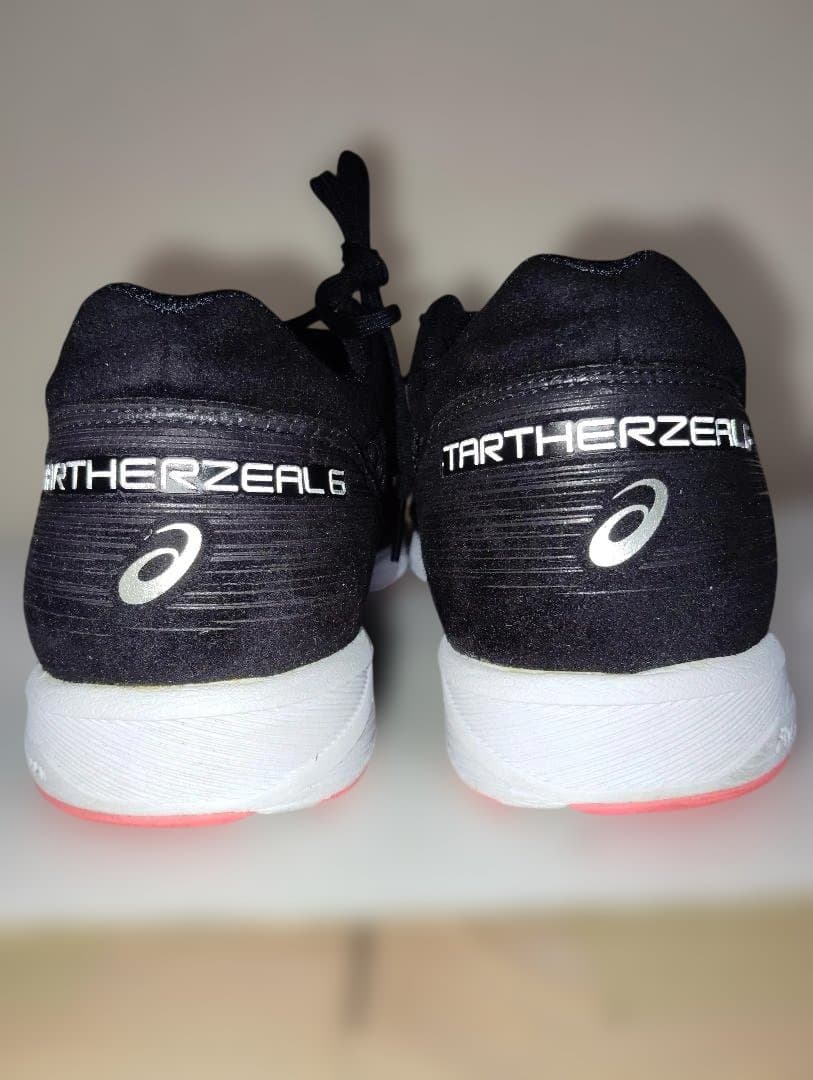 ASICS 27.5cm TARTHERZEAL 6 ターサージール 6