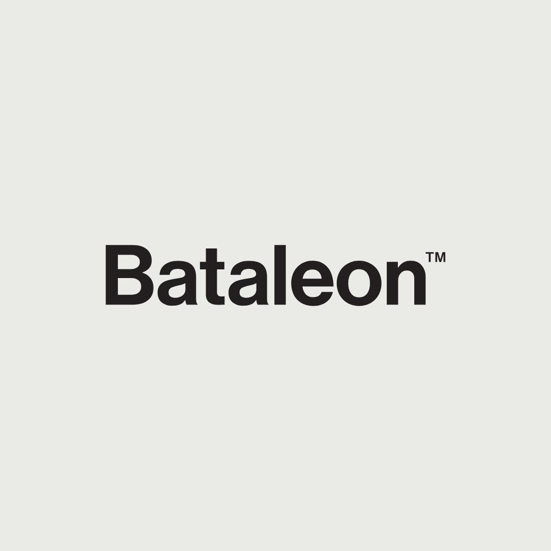 Bataleon CHASER 152CM 日本限定 新品 バタレオン152