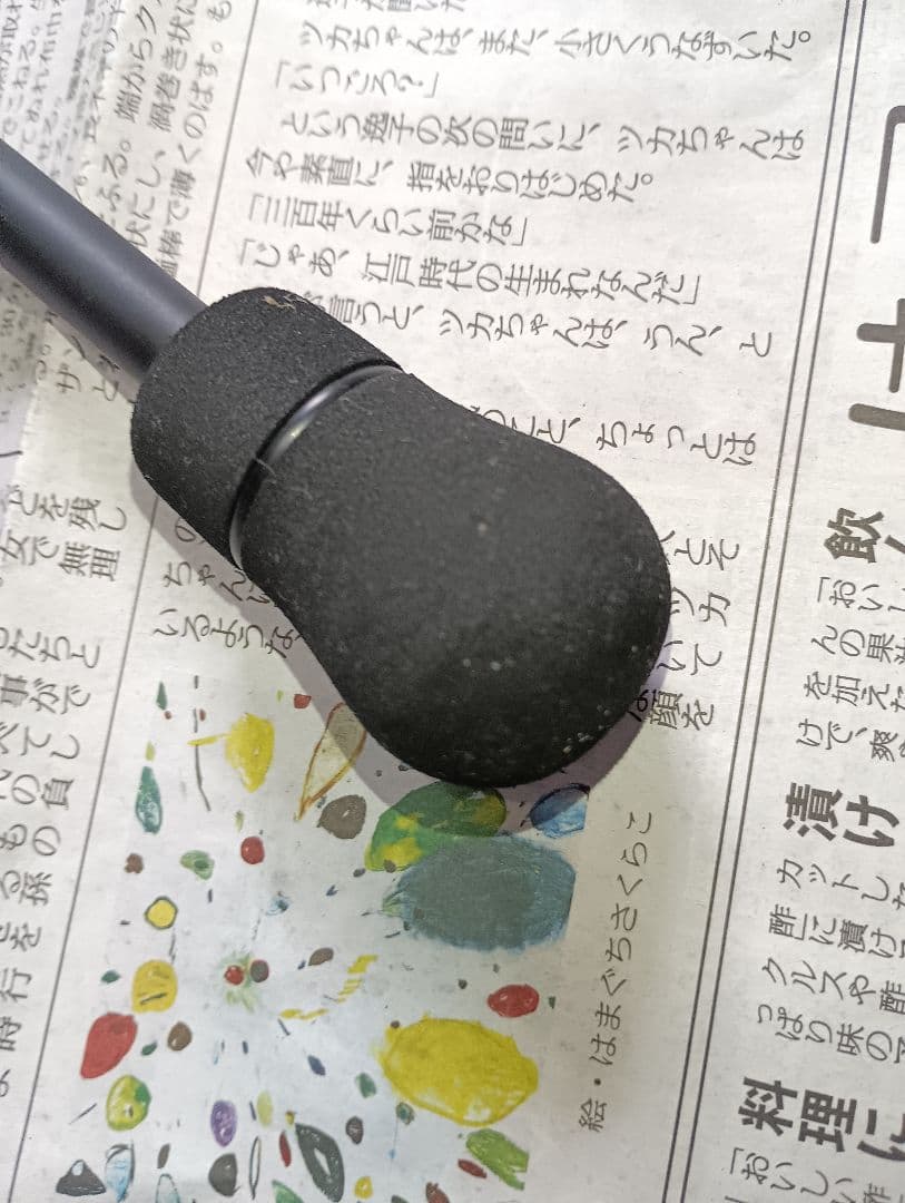 ネイチャーボーイズ　アイアンフリック6608QD