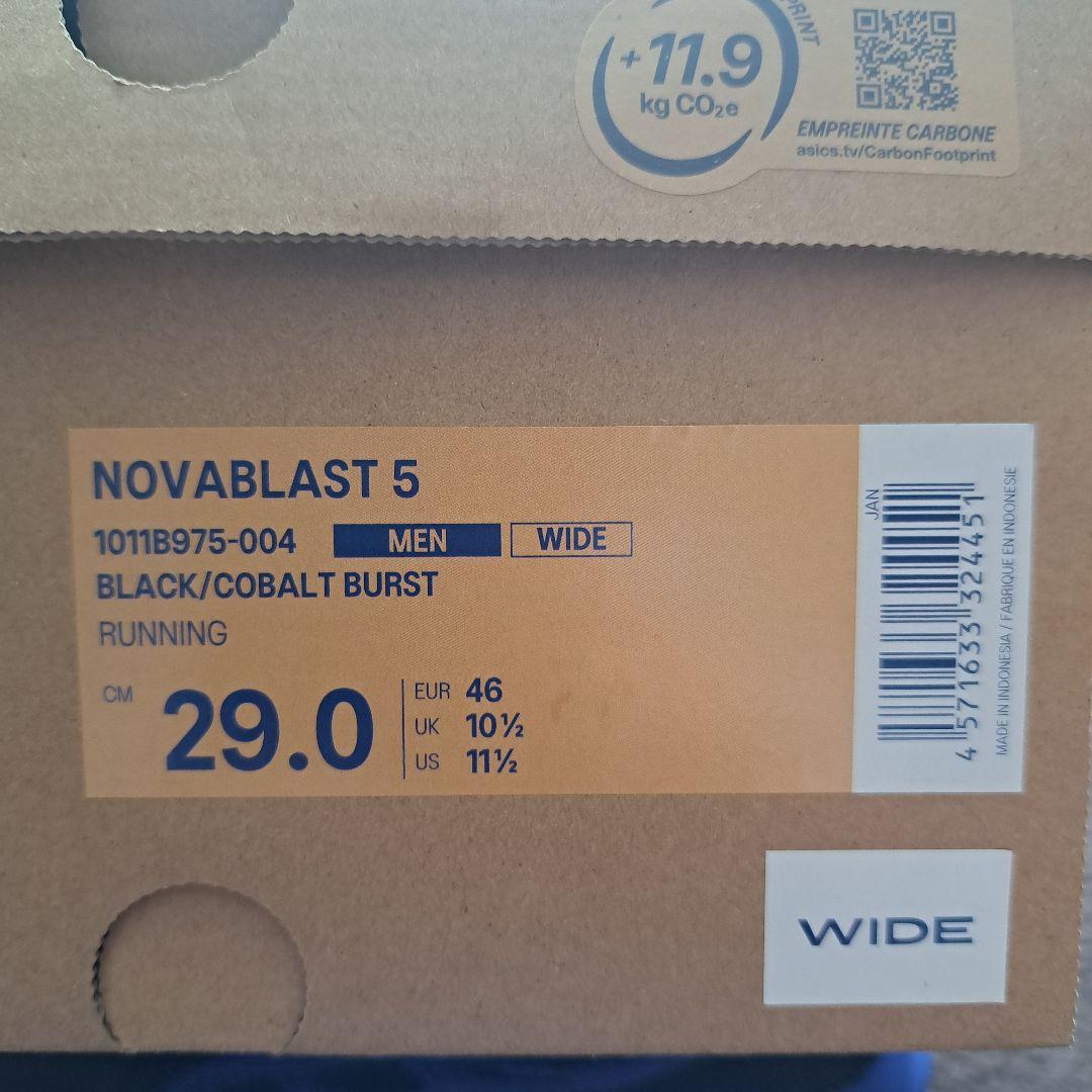 【美品】ASICS NOVABRAST5 ノヴァブラスト5 Wide29.0cm