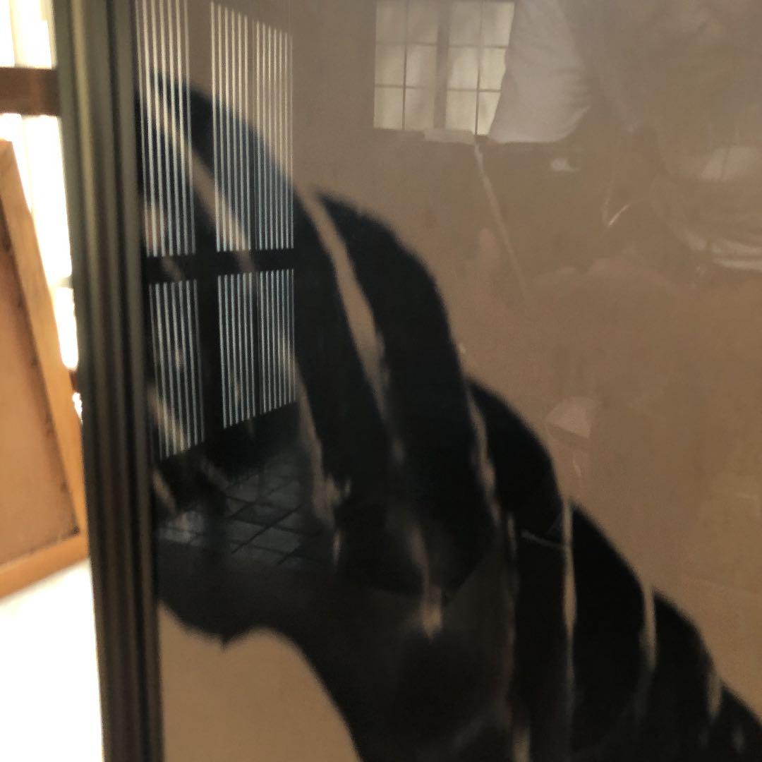 水墨画　　眼光鋭く獲物を狙い襲いかかる間際の構図