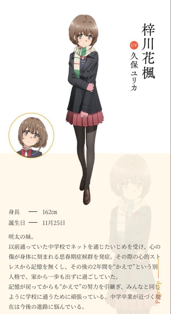 【SALE】青春ブタ野郎はおでかけシスターの夢を見ない 直筆 サイン 色紙