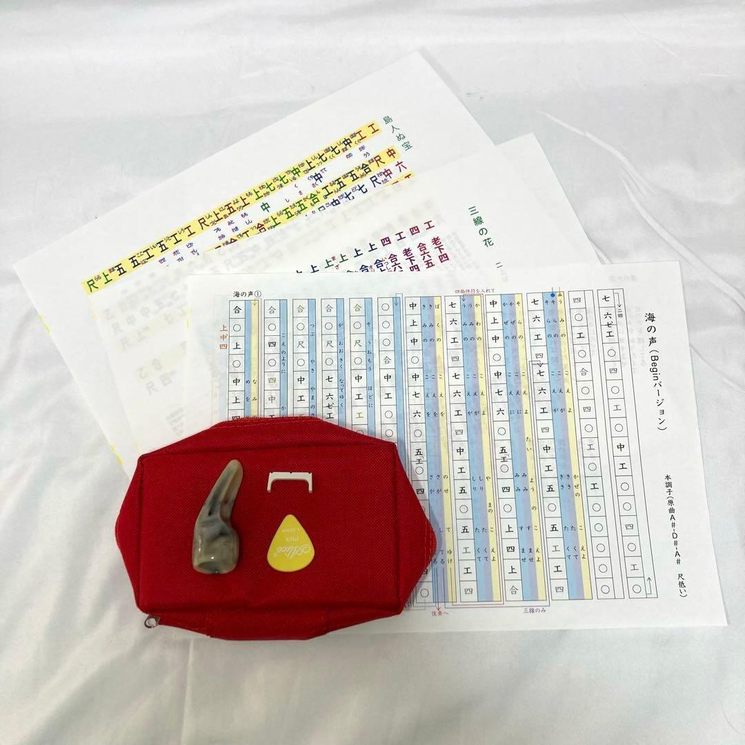 三線 沖縄 ソフトケース 付属品 初心者 人工皮 蛇革 蛇皮 和楽器
