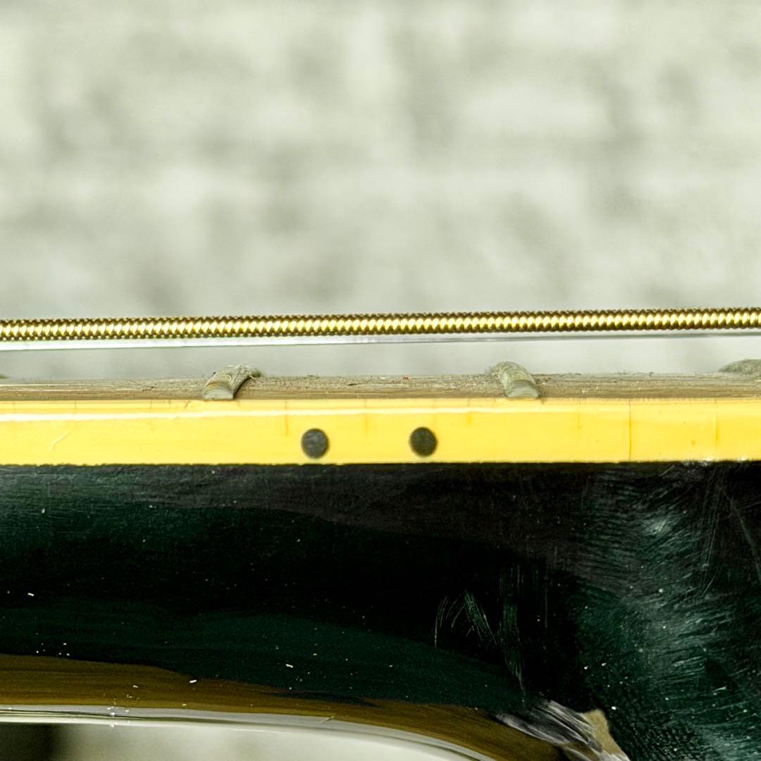 Morris「PA-60 BLK」Powered Acoustic Guitar