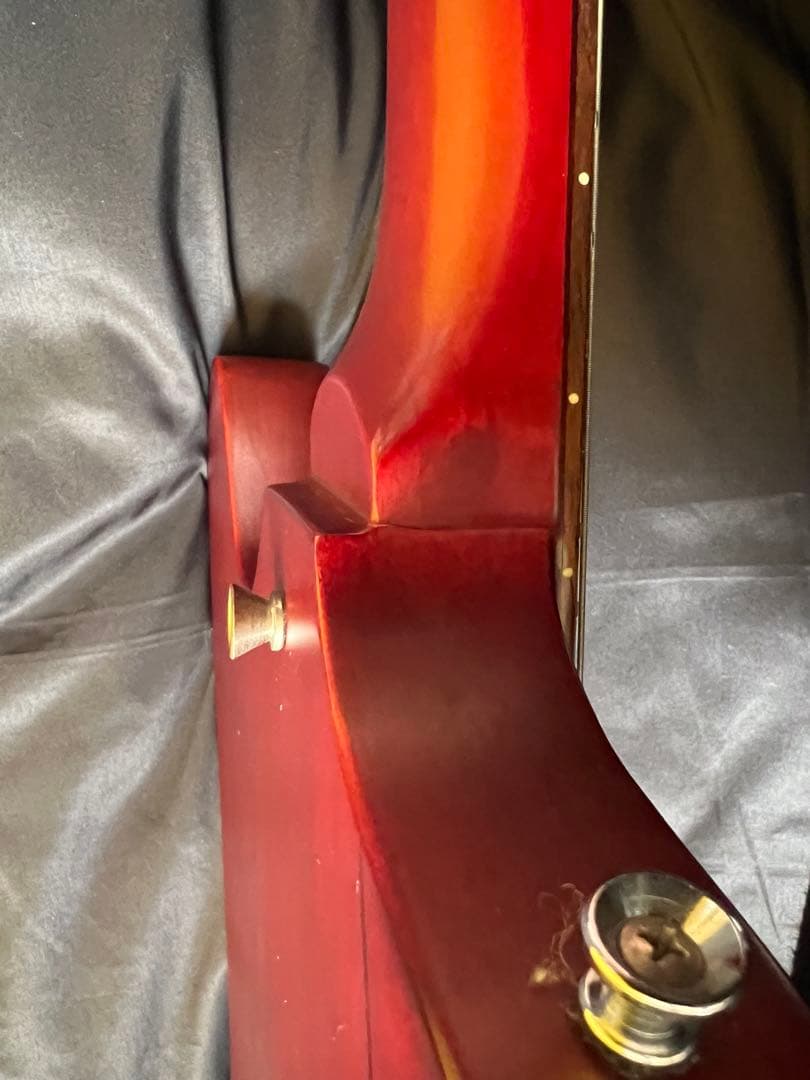 Epiphone Firebird ギアレスチューナーエレキギター　ケース付き