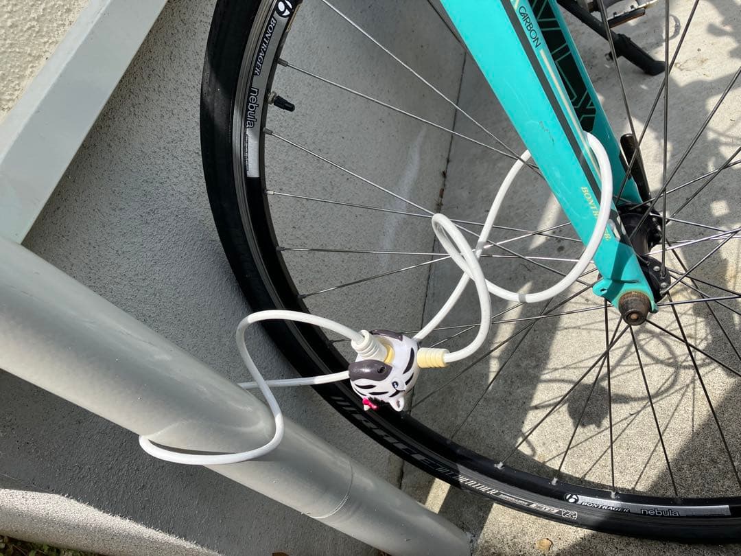 TREK カーボン　クロスバイク ミントグリーン