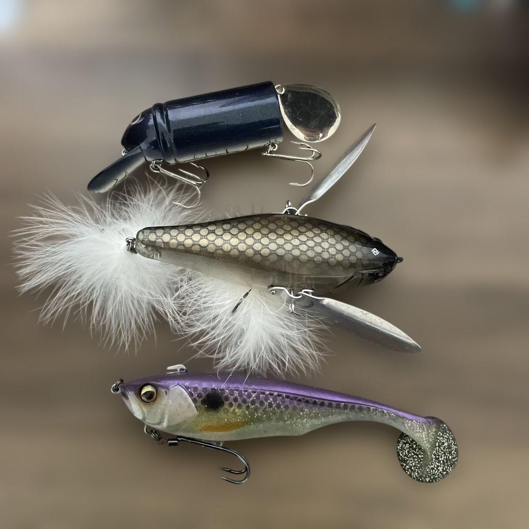DAIWA 24TATULA TW 100H ベイトリールルアーとメジャー