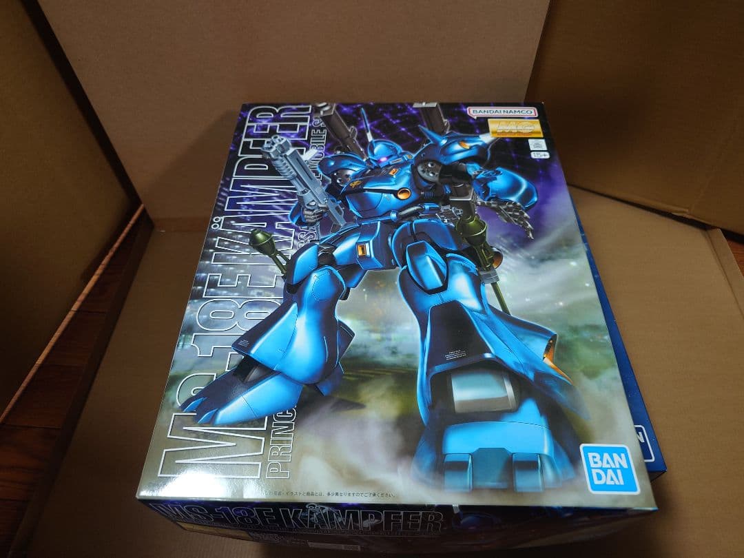 HG、MGガンプラ　未組立まとめ売り（21個）