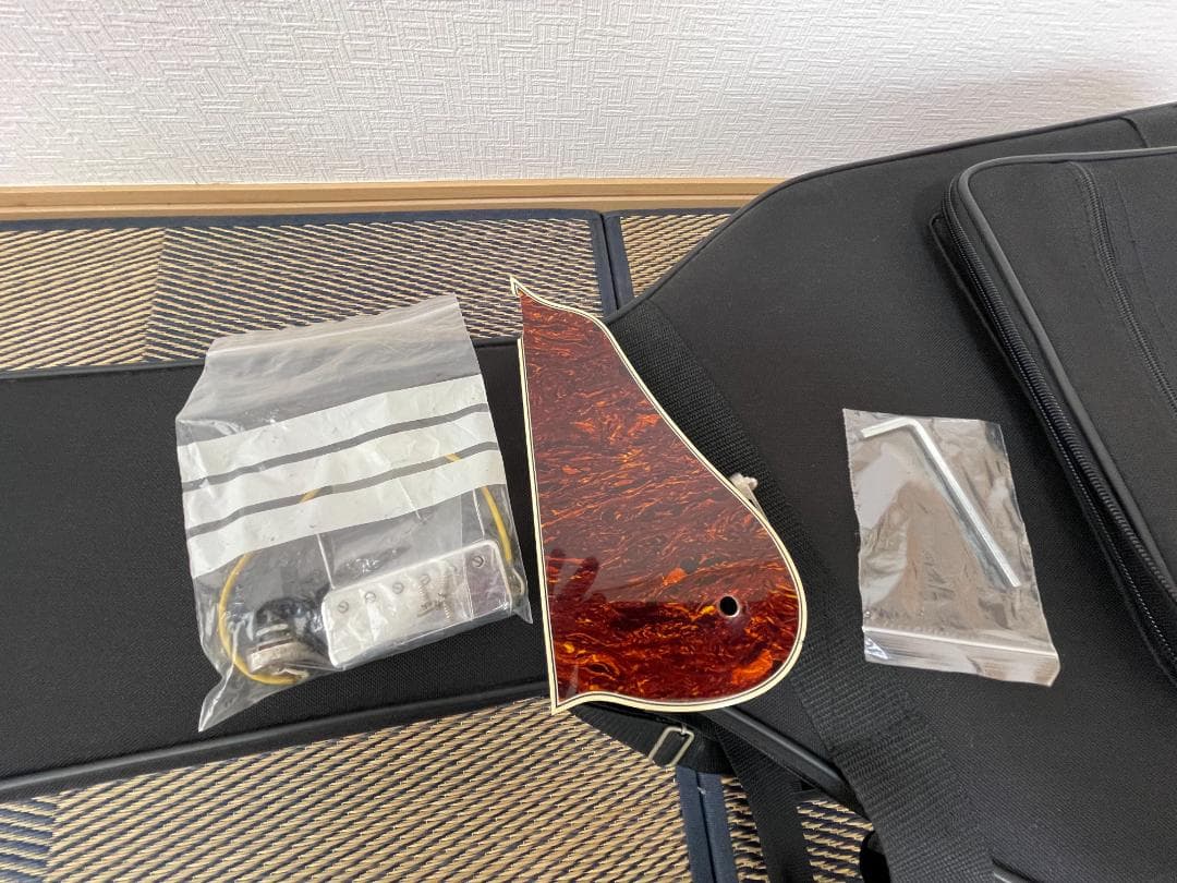 Loar LH-650-VS（改）