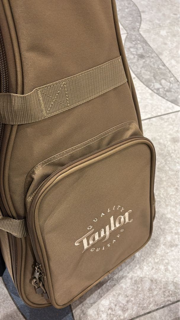 Taylor BT2e ミニアコースティックギター