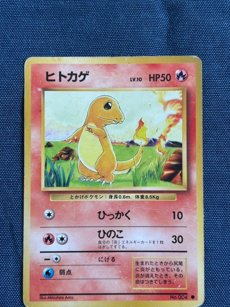 わるいフシギソウ、わるいフシギバナ　ポケモンカードセット
