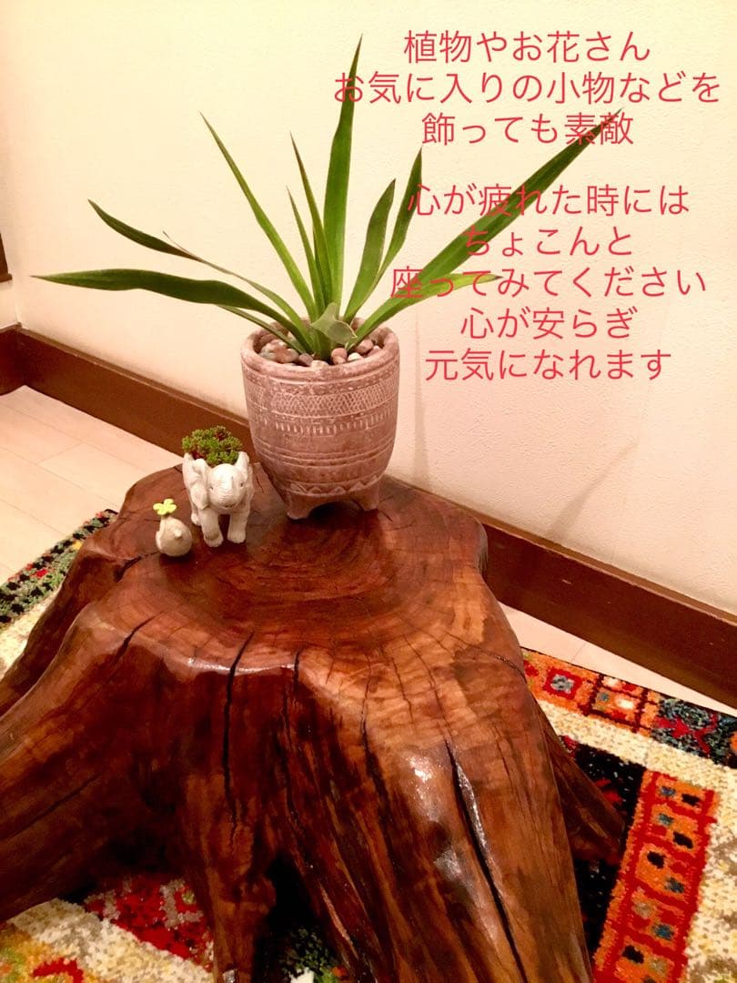 天然楢の木＊根本部分【森の王様の切り株テーブル】テーブル＊ちゃぶ台＊インテリア台