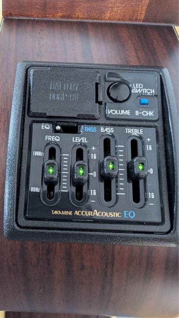 【3月末まで値下中】Takamine NPT-010 タカミネ エレアコ