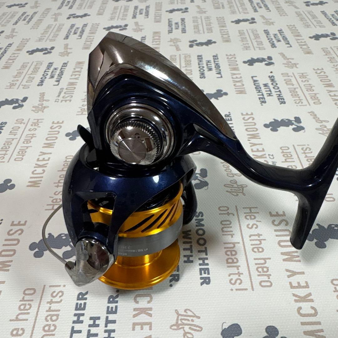 ダイワ 24レブロス LT3000D-C