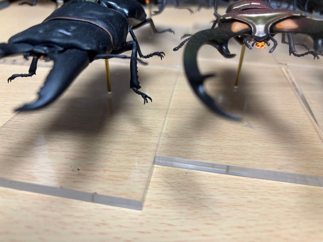 バンダイ　クワガタフィギュア　標本風　7種