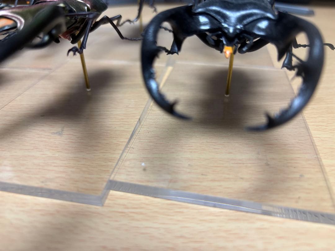 バンダイ　クワガタフィギュア　標本風　7種