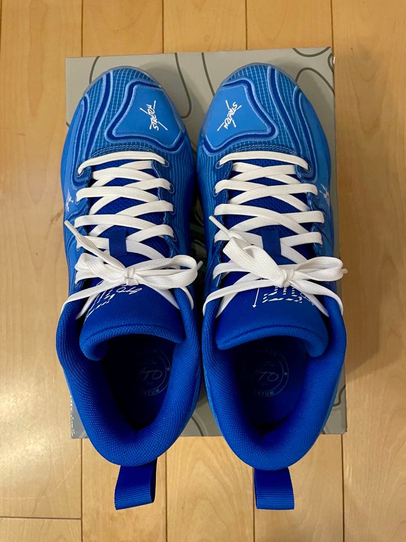 NIKE、Jordan、テイタム3 PF、28.5センチ