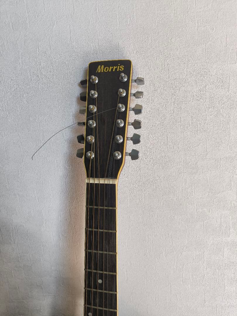 Morris 12弦アコースティックギター モーリス アコギ