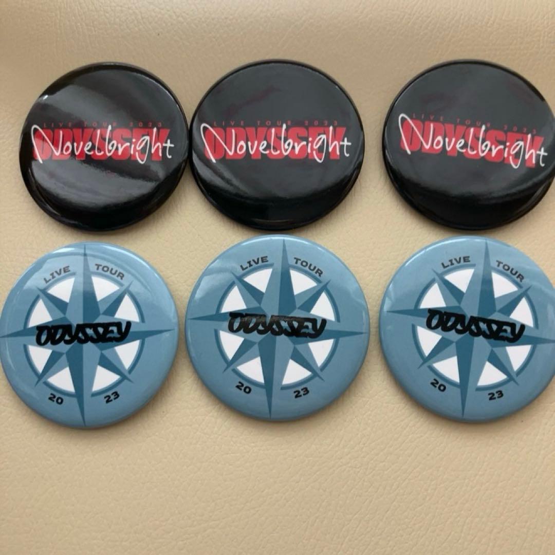 4月末まで出品　バラ売り可　Novelbright ノーブラ 缶バッジ のーぶら