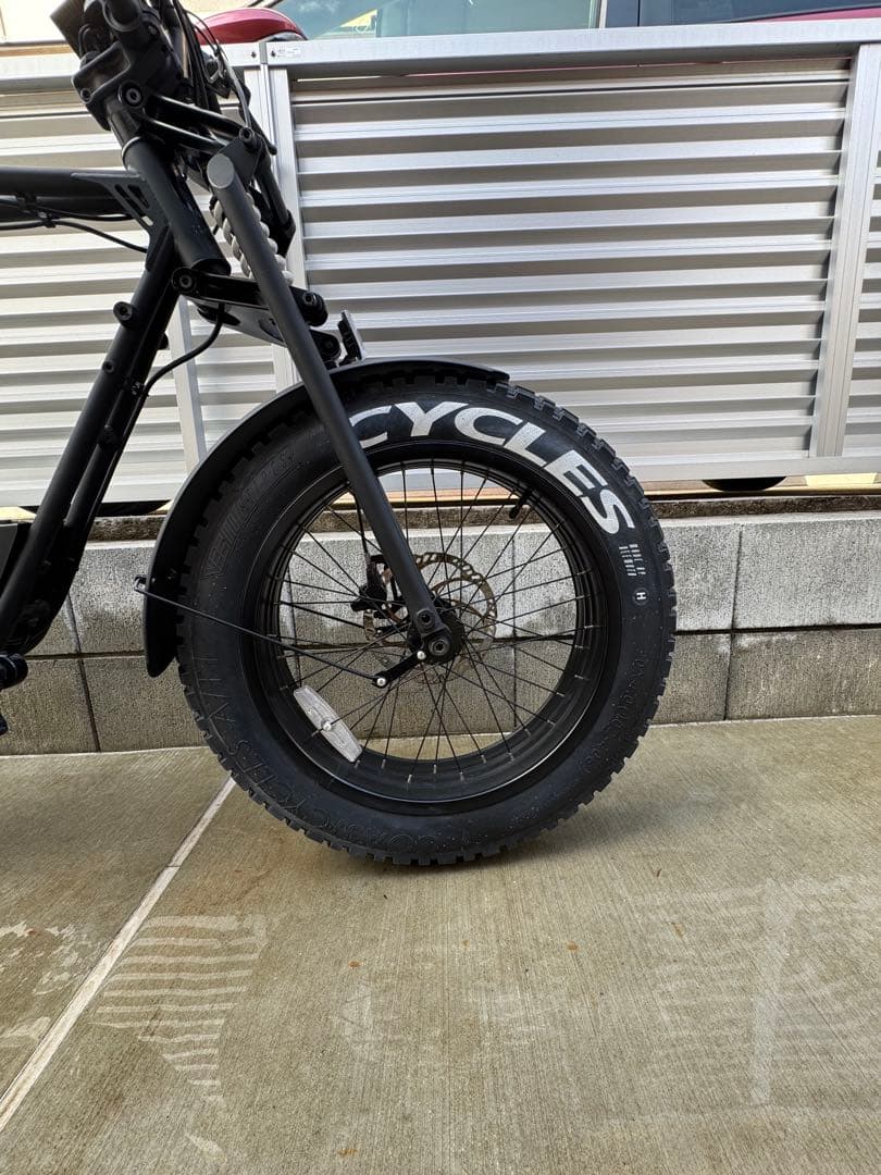 COAST CYCLES BUZZRAW PRO 電動アシスト自転車 太タイヤ