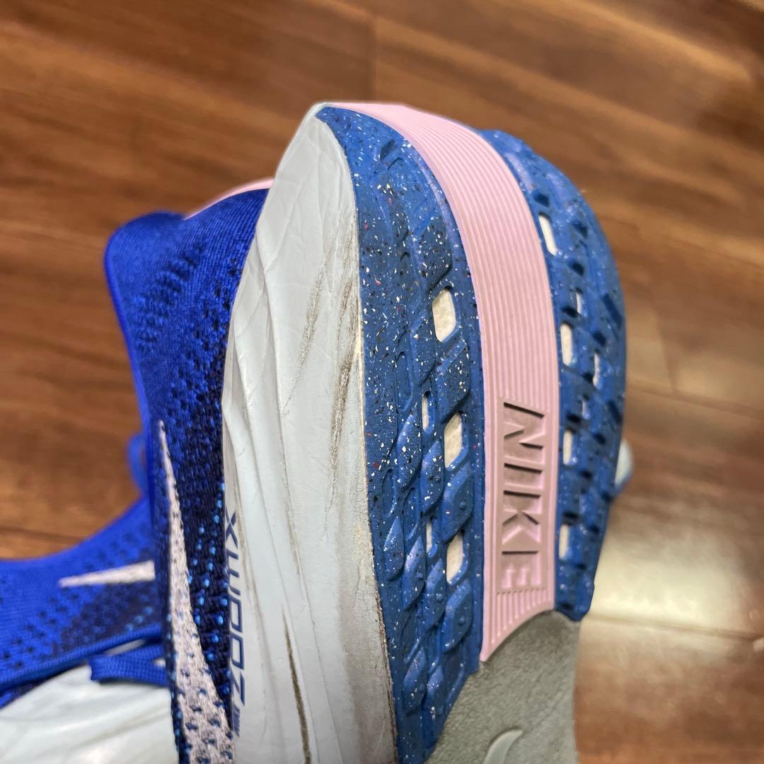 Nike ペガサスプラス　カラー:ブルー
