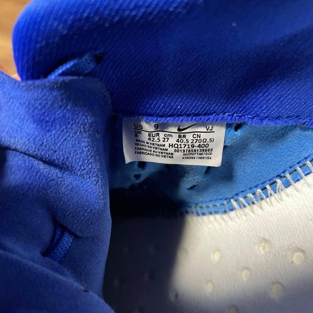 Nike ペガサスプラス　カラー:ブルー
