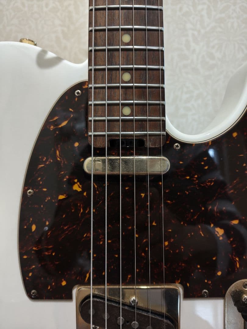 ギター Schecter Progauge Series PS-TL-N SWSB/R