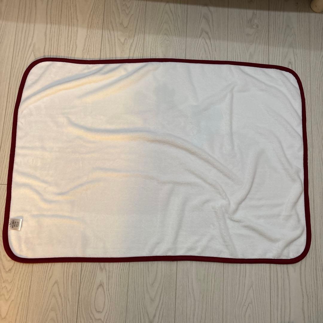 【かなこさま専用】パペットスンスン ローソン ブランケットいちご