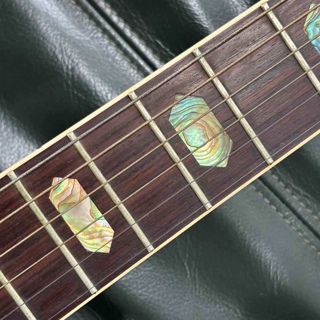 MORRIS モーリス アコースティックギター SPECIAL ケース B186