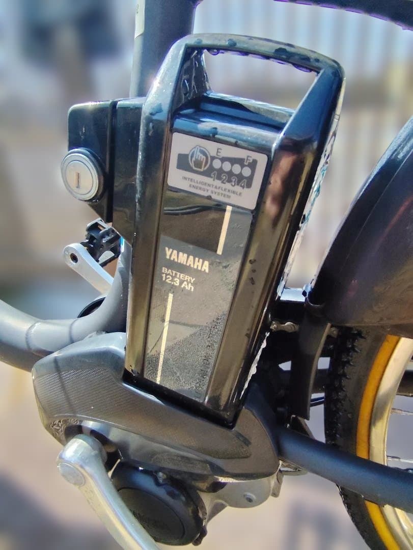 2022年製　YAMAHA　パス　ウィズ　グレー　12.3Ah　美品