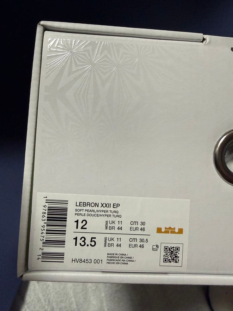 Nike レブロン 22 EP HV8453-001