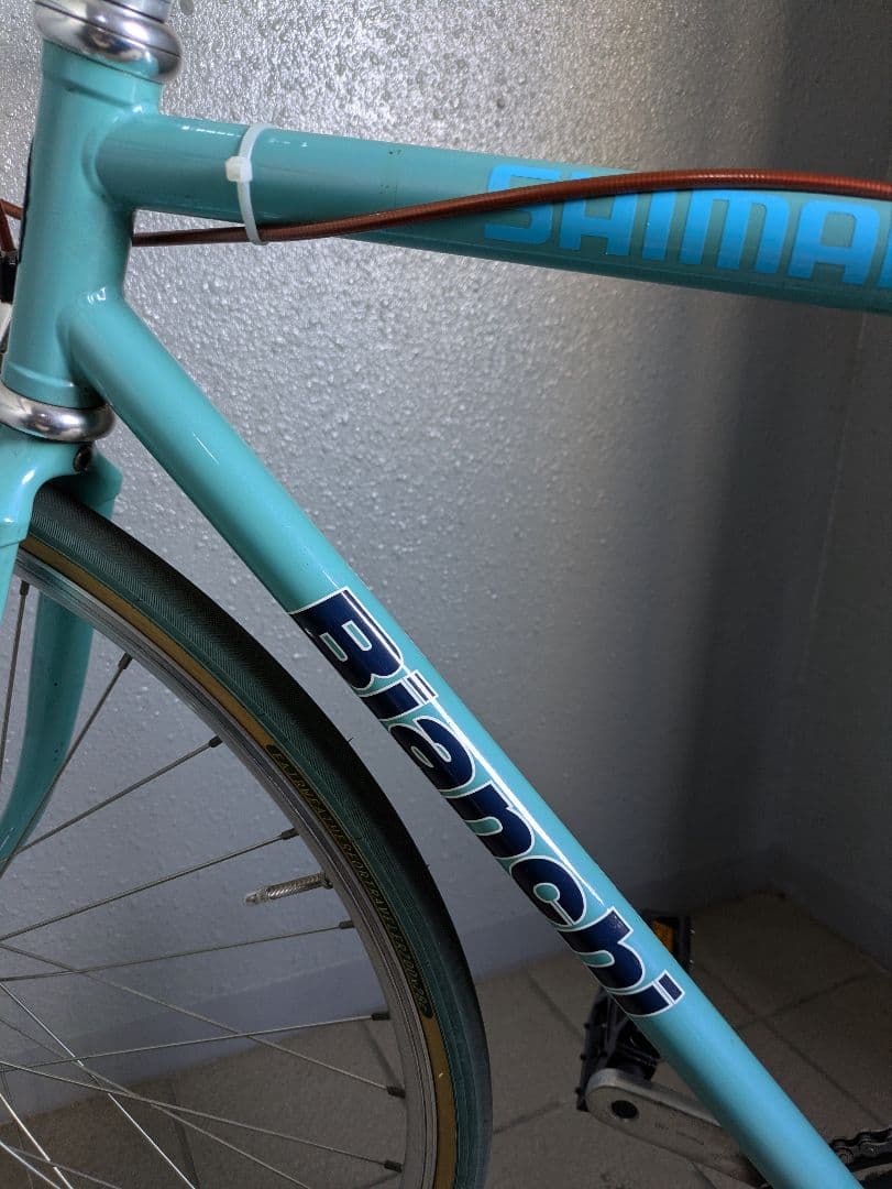 希少❗️Bianchi Pista シングルスピードフレーム 水色