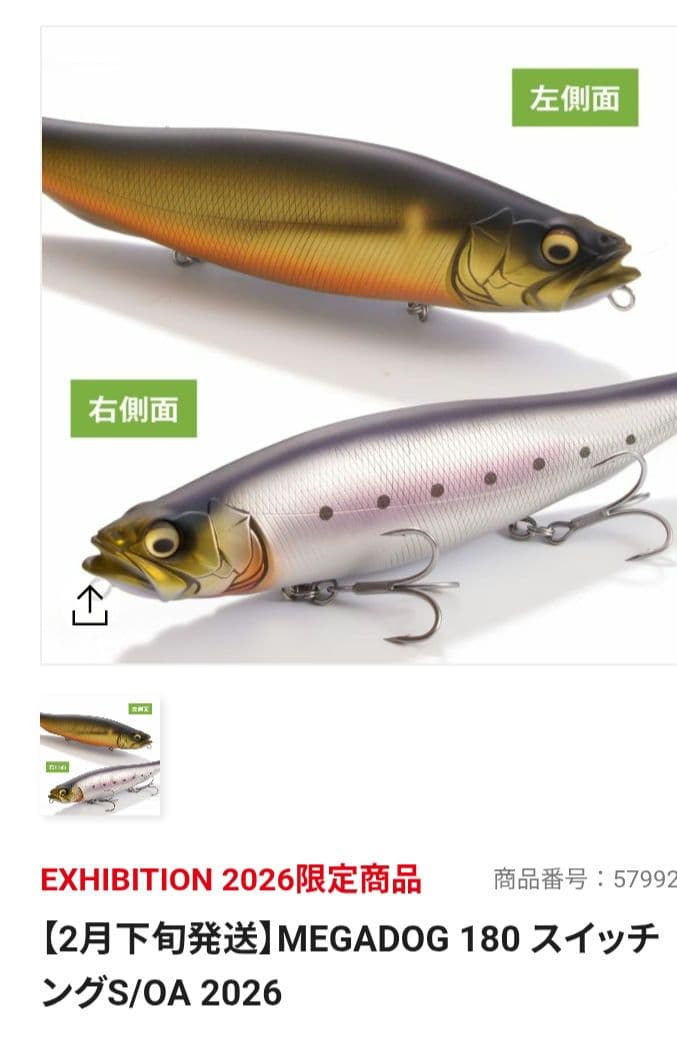 メガバス　メガドッグ180　オンライン限定カラー　希少　2026.2 発売