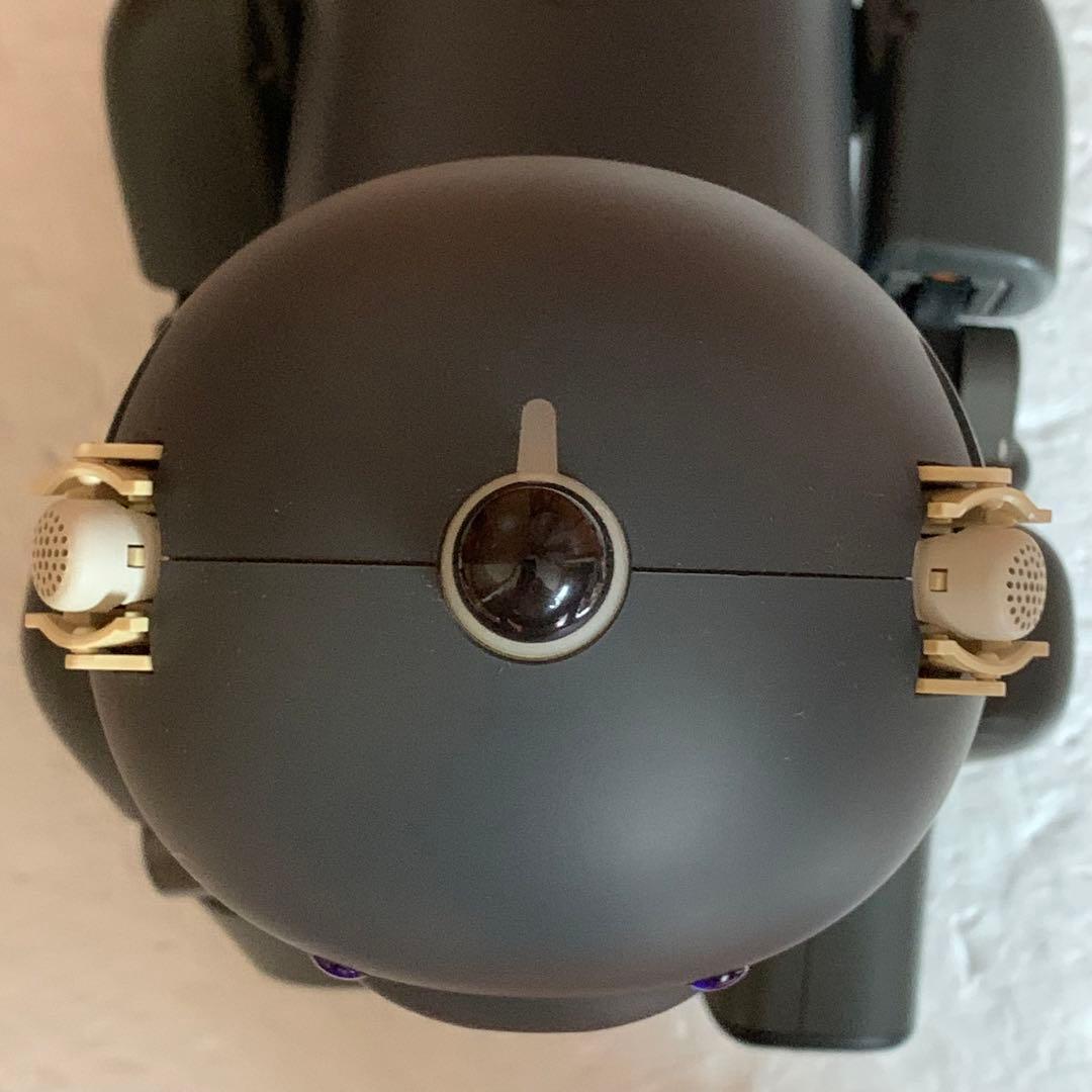 ジャンク SONY AIBO アイボ ERS-312 マカロン 壊れています