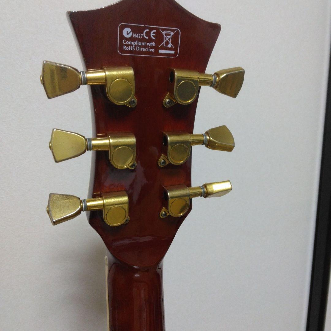 Elioth エリオス　B305NA　アコースティックギター ジャンク品