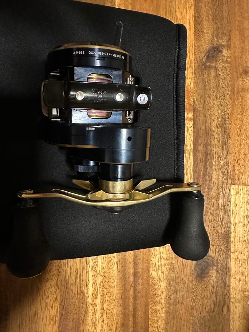 DAIWA SALTIGA IC100PL-DH ソルティガ美品