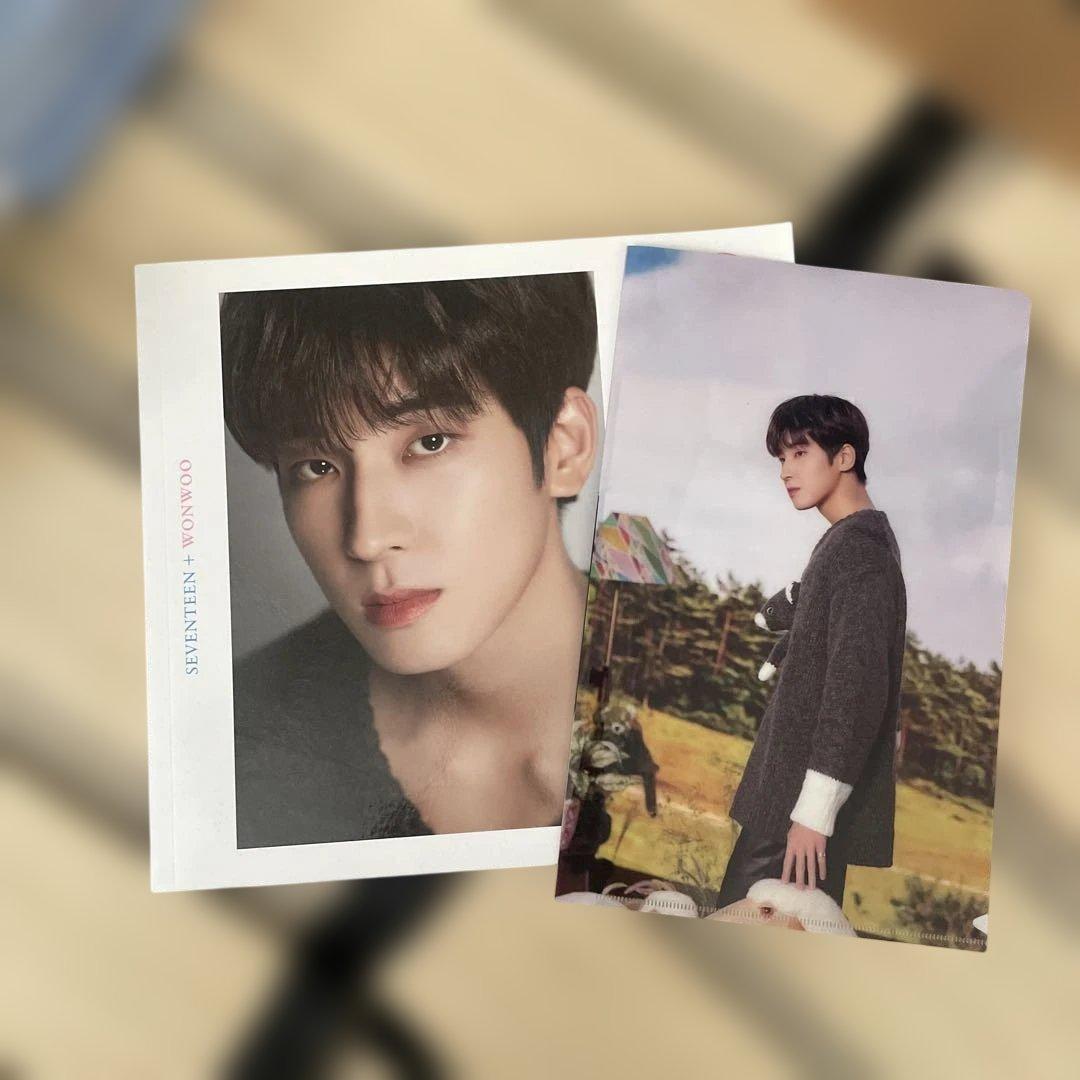 アイドル SEVENTEEN D FESTA WONWOO