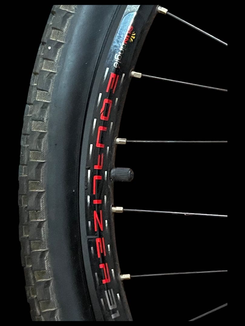 ⭐️マウンテンバイク⭐️ホイールDT SWISS 420L ⭐️タイヤMAXXIS