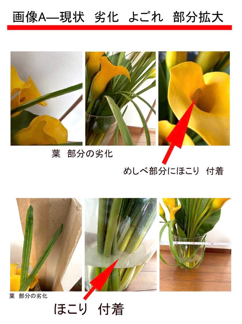 格安(訳あり)ジャンク品　高さ約90センチ(花器にエミリオロバのプレート有り)