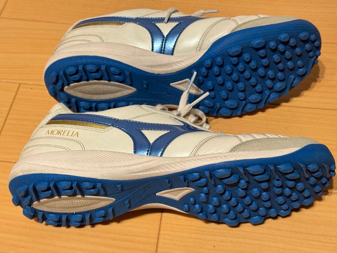 MIZUNO モレリアサラ TF 25cm
