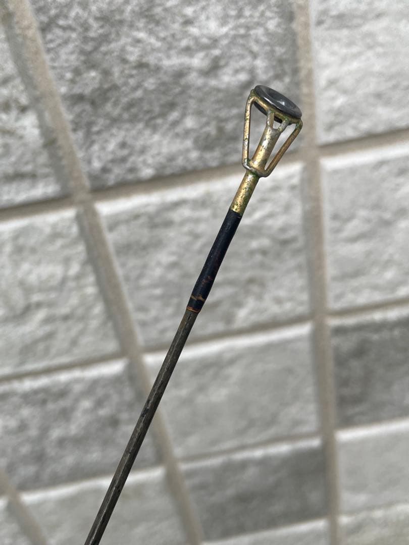 TEAMDAIWA バスロッド