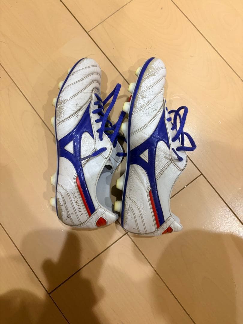モレリア2 青限定色　田中碧