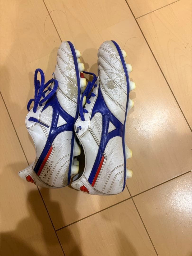 モレリア2 青限定色　田中碧