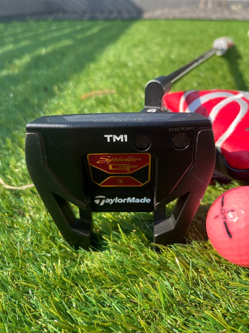 a*5様 TaylorMade(テーラーメイド) Spider GT TM1